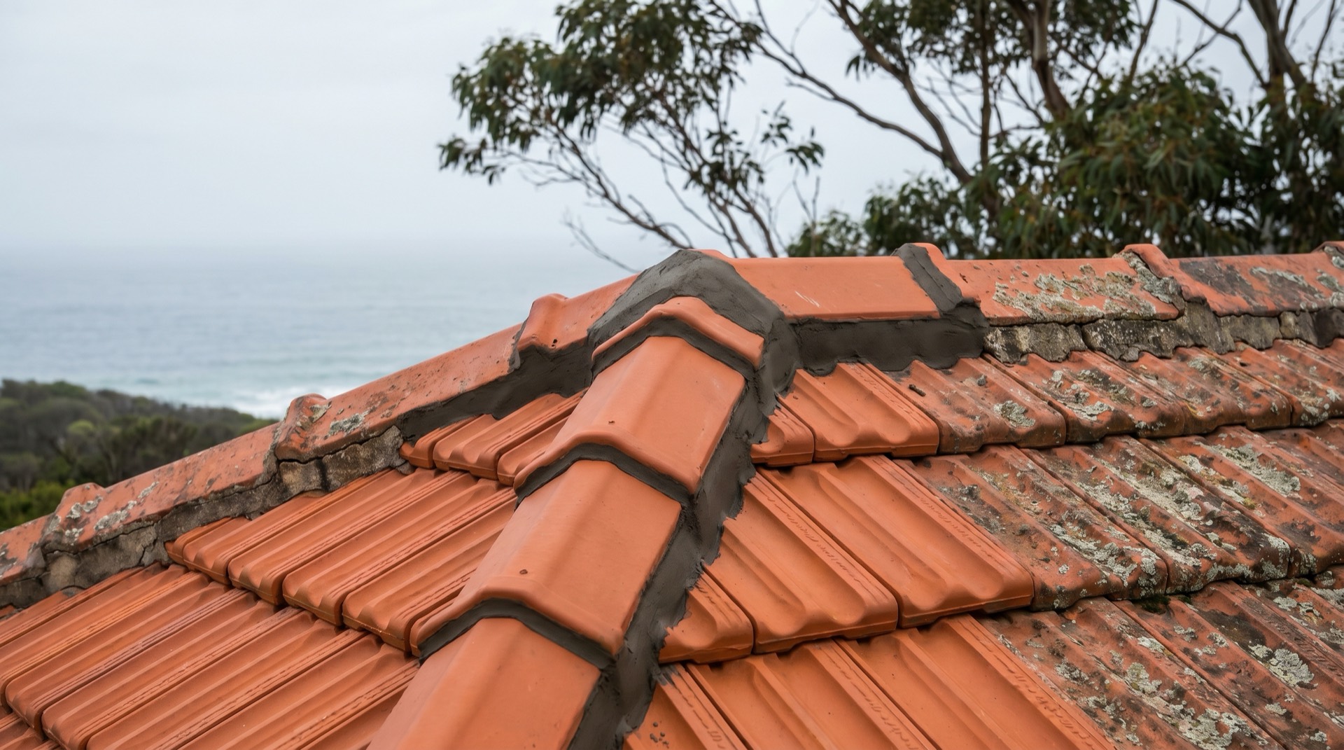 Roof leak repair and replaced flashing on a home in Bega